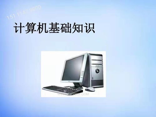 计算机大专生的多元发展路径 机遇与挑战并存
