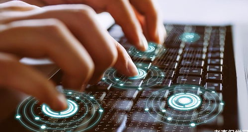 计算机专业 报考公务员的热门之选与备考策略